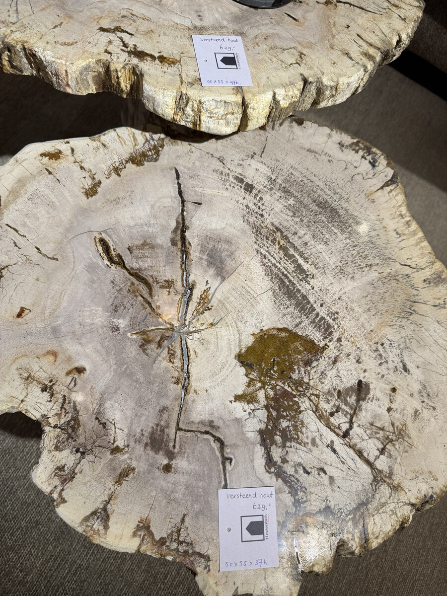 Bijzettafels van versteend hout