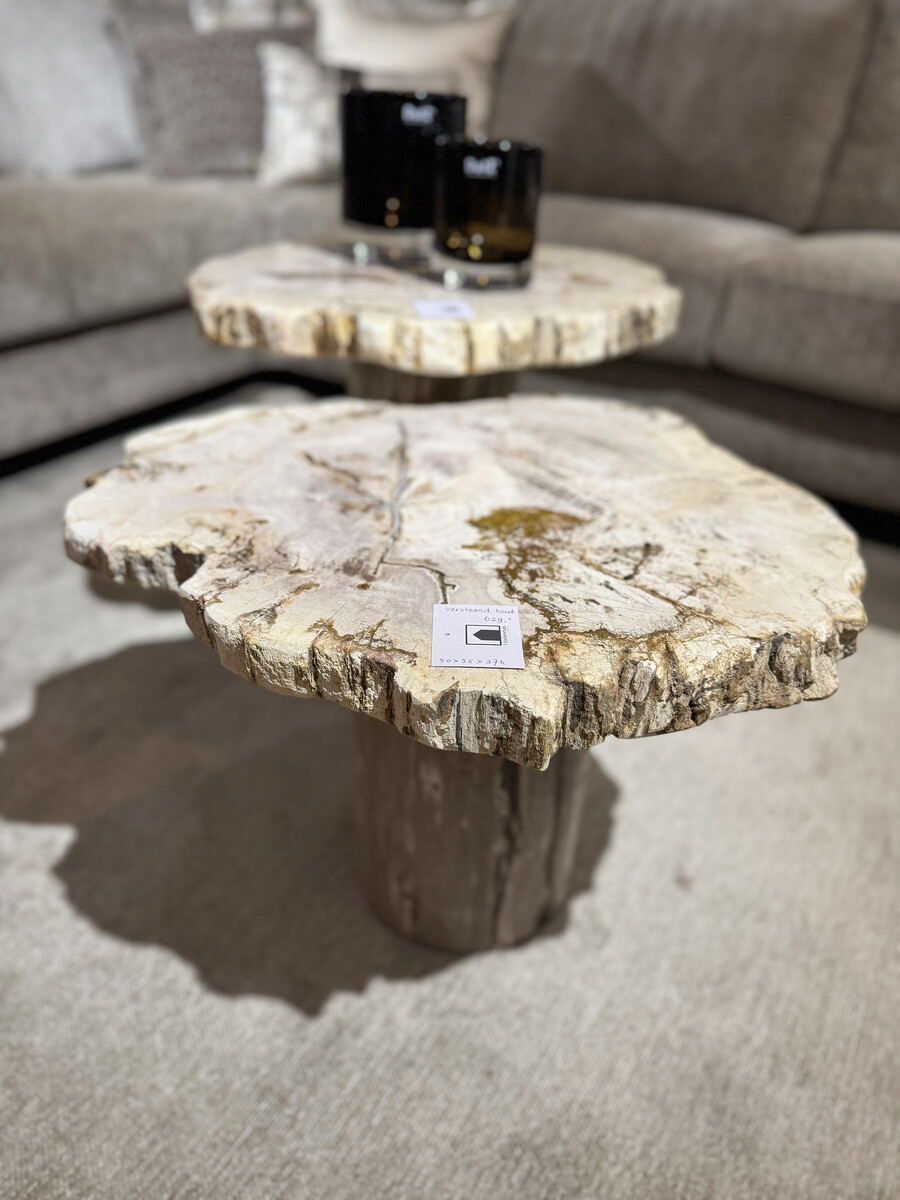 Bijzettafels van versteend hout