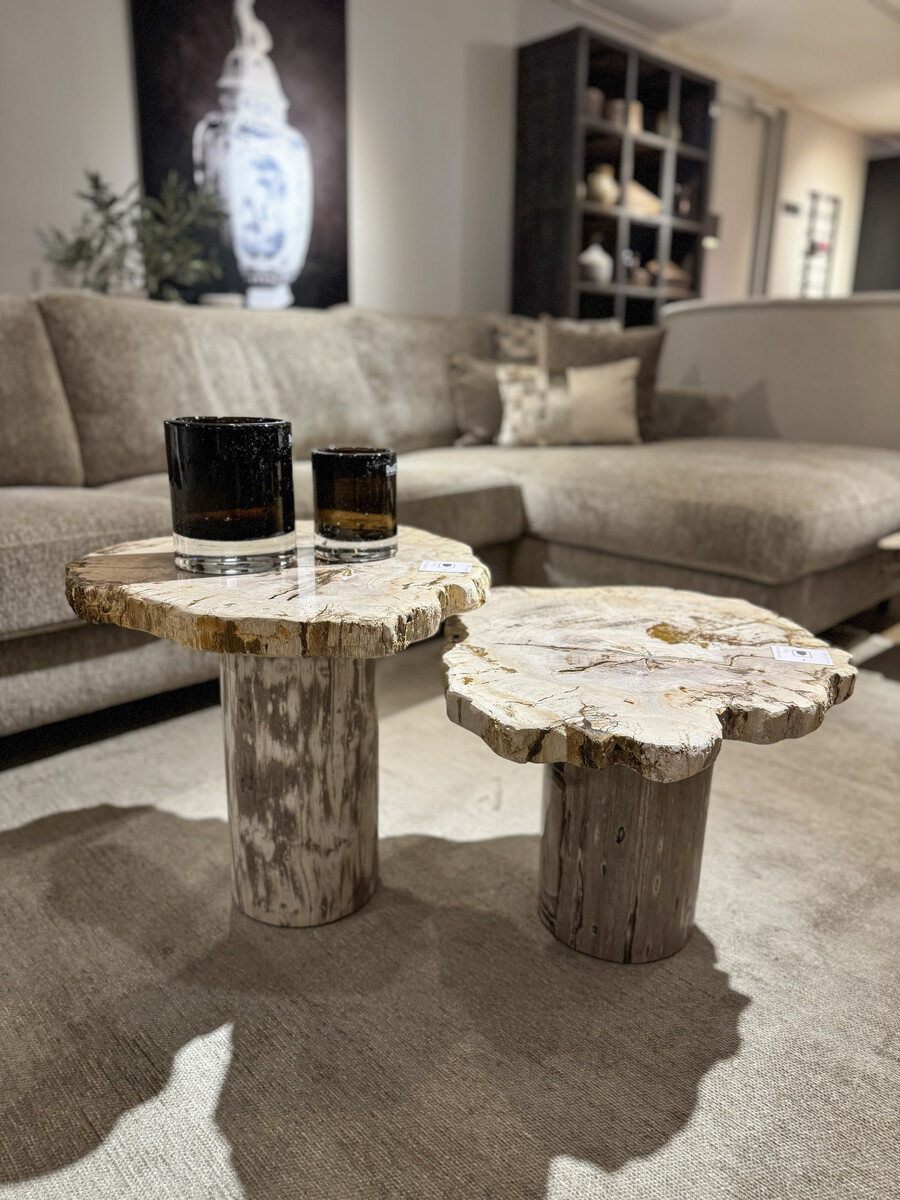 Bijzettafels van versteend hout