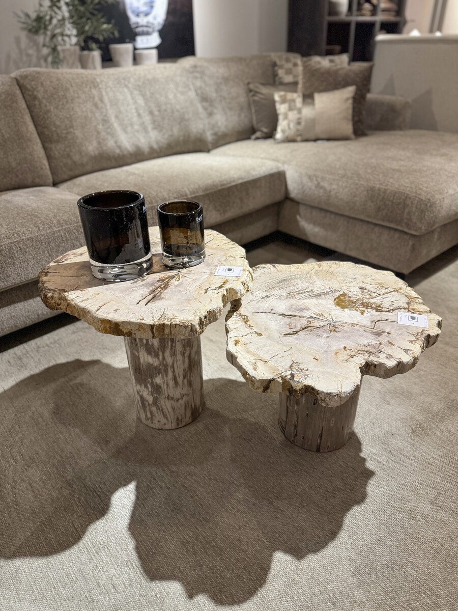 Bijzettafels van versteend hout