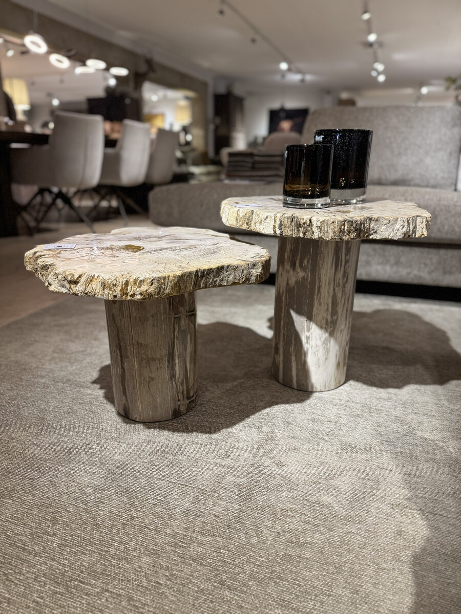 Bijzettafels van versteend hout