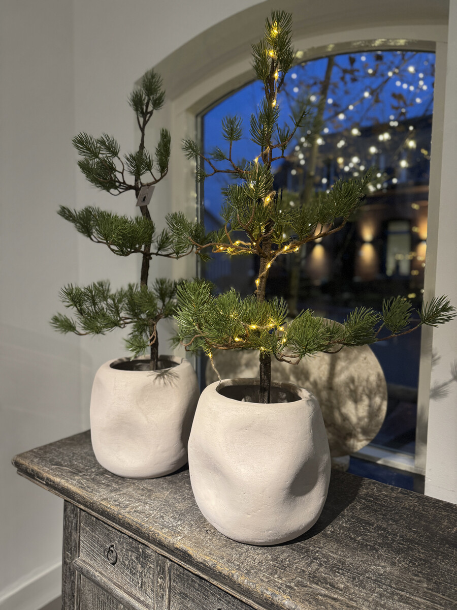 Faux Bonsai pine tree
