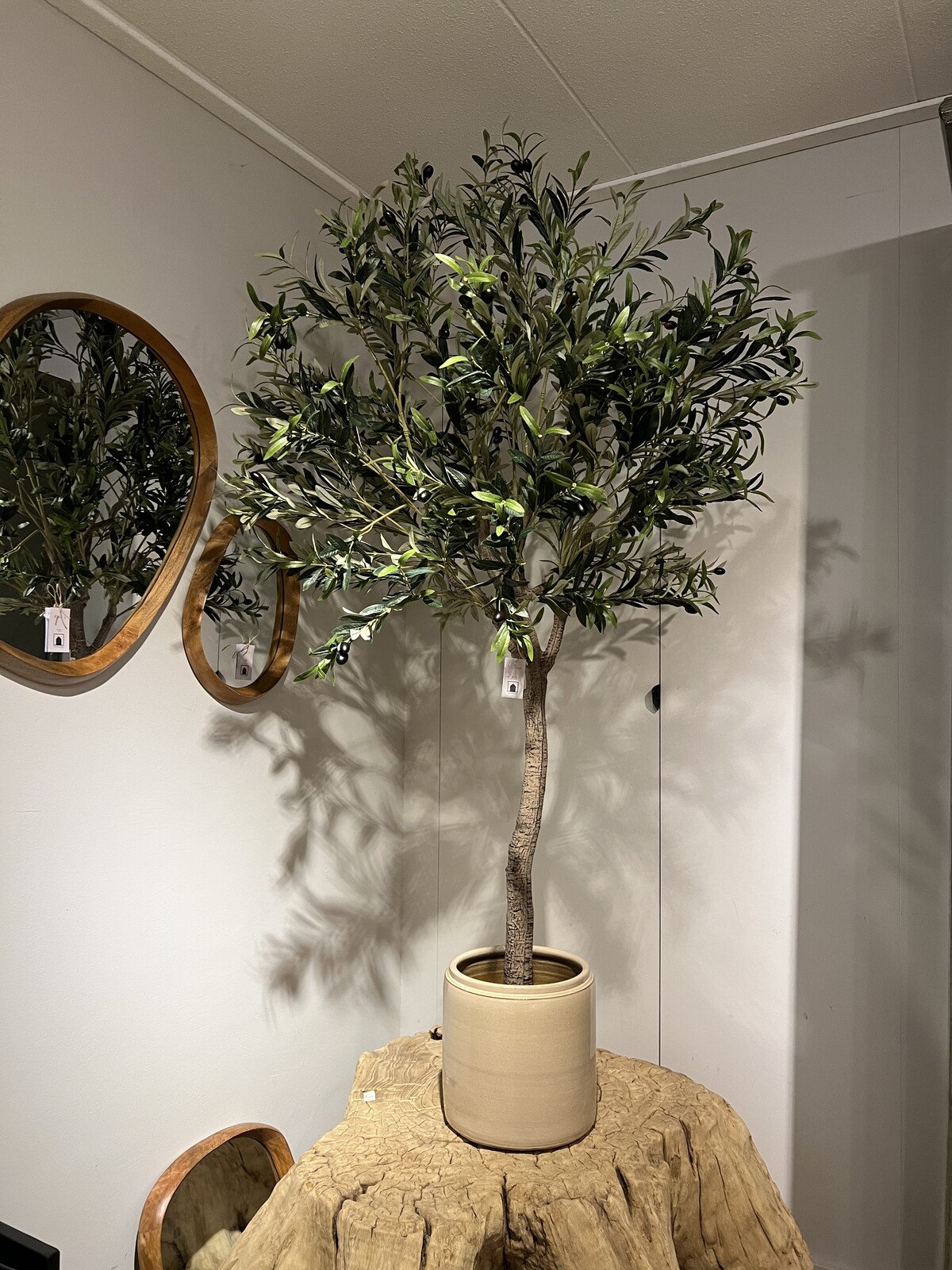 Olijfboom met beige pot 