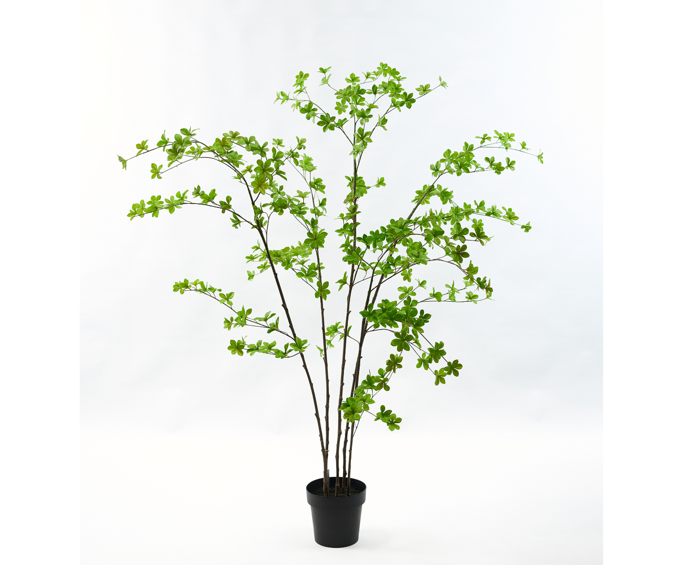 Plant / boompje fris groen van Silk-ka
