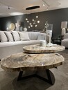 Salontafel Cigaru petrified wood