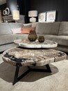 Salontafel Cigaru petrified wood