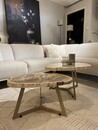 Salontafel petrified wood 