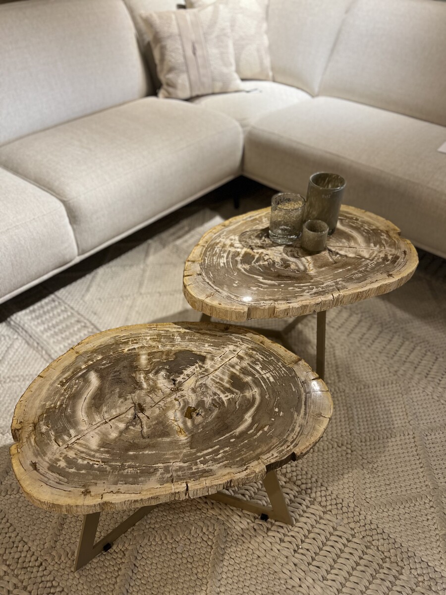 Salontafel petrified wood 
