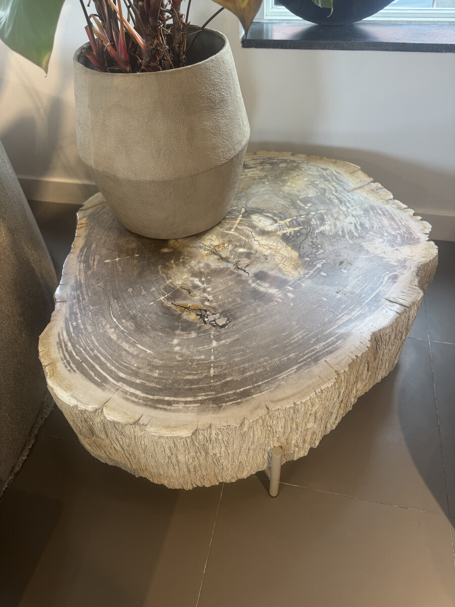 Salontafel petrified wood met 30cm blad dikte