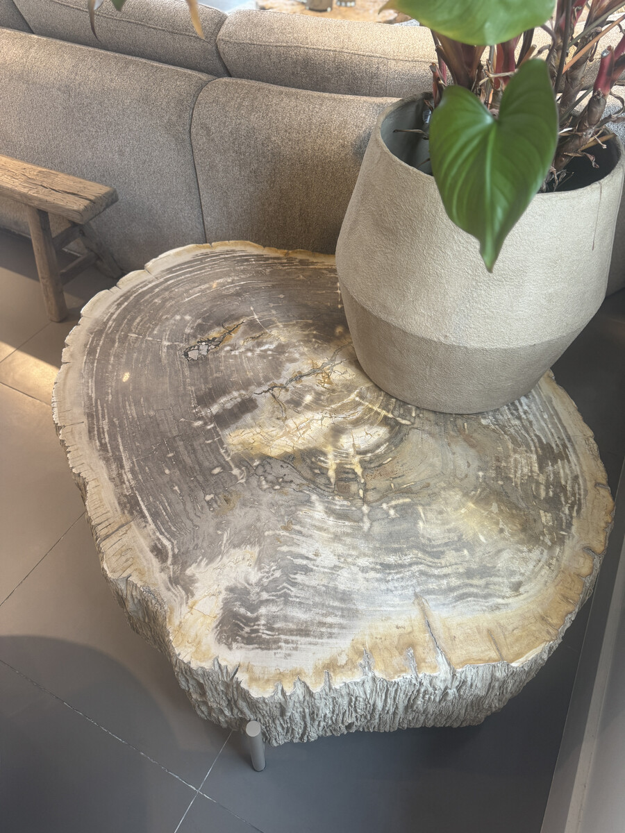 Salontafel petrified wood met 30cm blad dikte