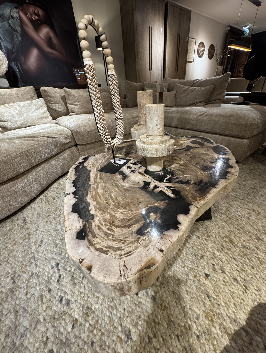 Salontafel Set van versteend hout in contrastrijke aardse tinten.