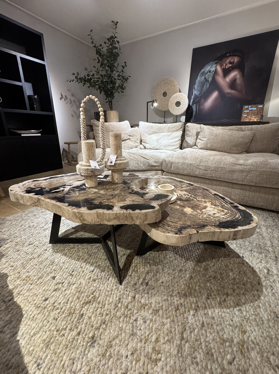 Salontafel Set van versteend hout in contrastrijke aardse tinten.