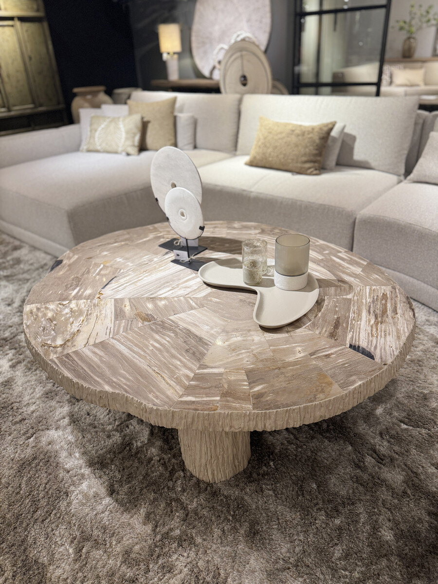 Salontafel versteend hout