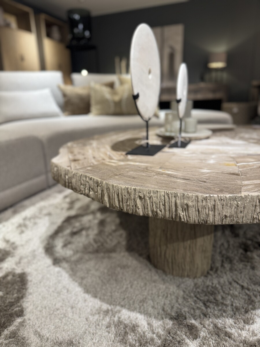 Salontafel versteend hout