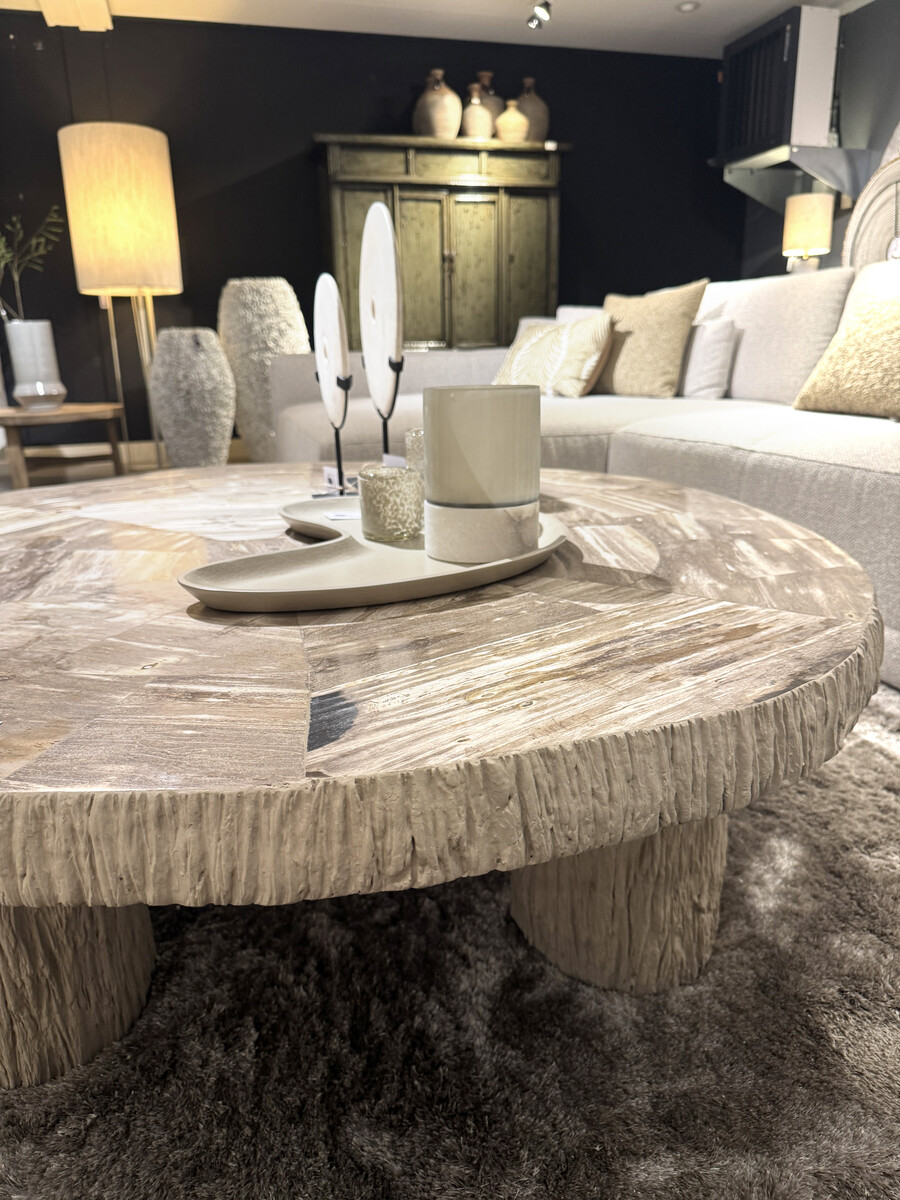 Salontafel versteend hout