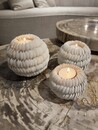 Schelpen theelichtjes