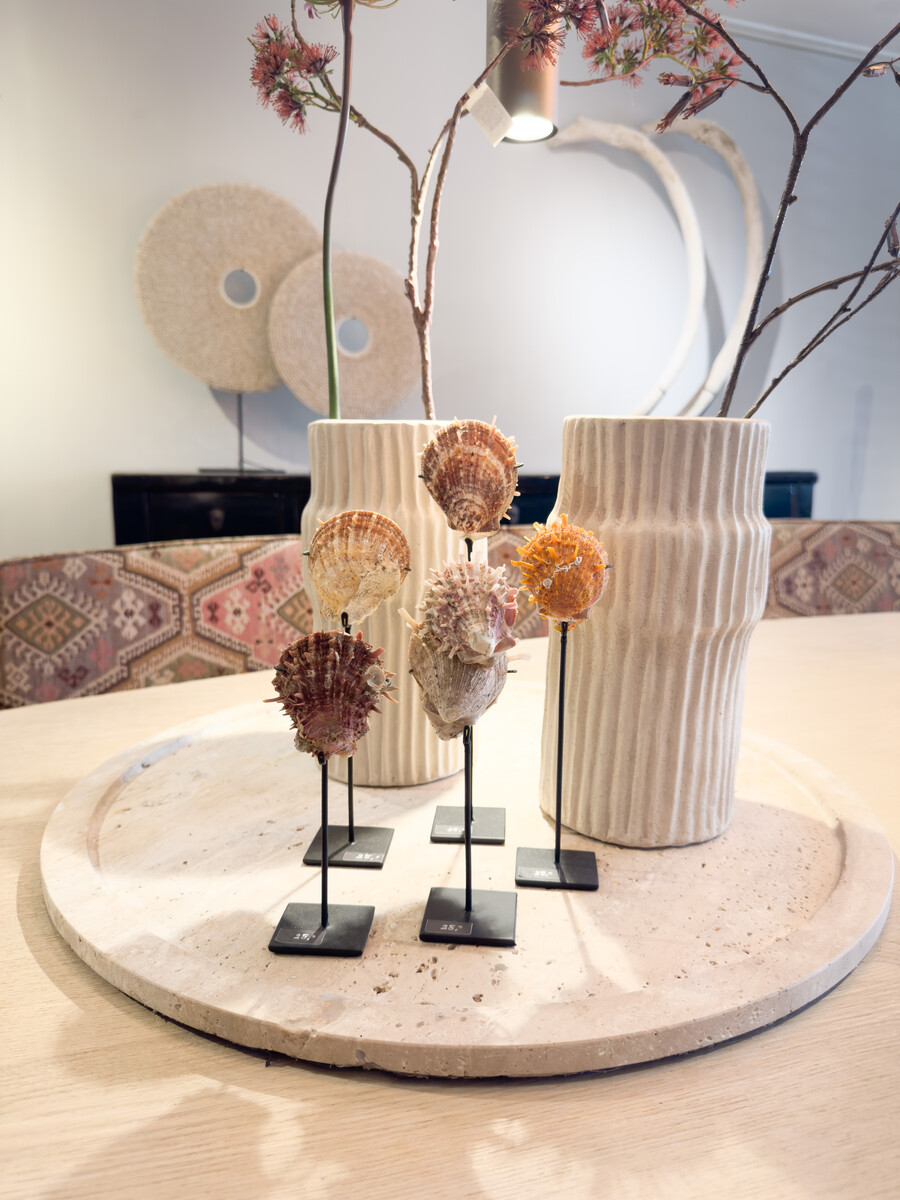 Schelpjes op standaard