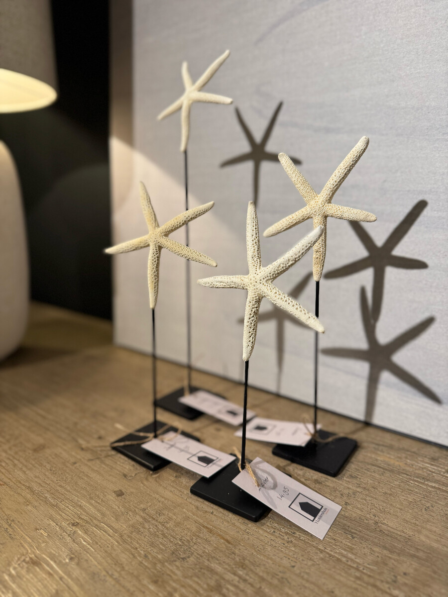 Zeesterretjes op standaard